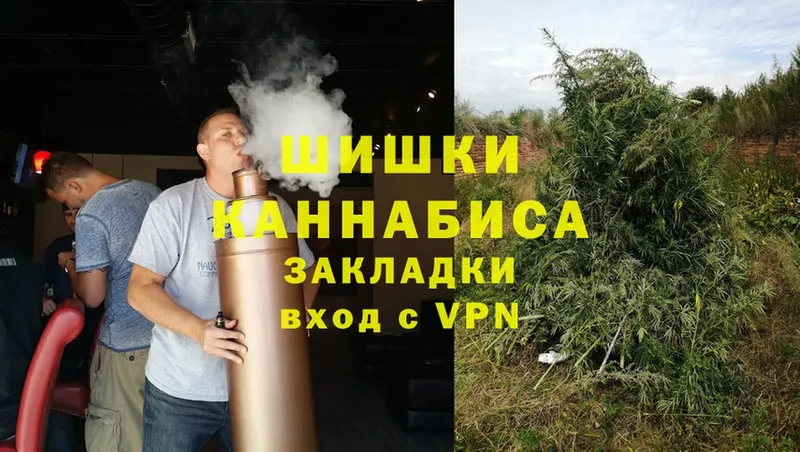 Канабис White Widow  hydra онион  Волхов  цены наркотик 